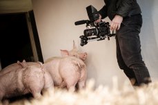 Dreharbeiten im Schweinestall. (Foto: Schindler Parent/Mit freundlicher Genehmigung)